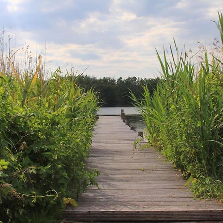 Moderne Und Helle Ferienwohnung Am Ploener See Bosau 外观 照片