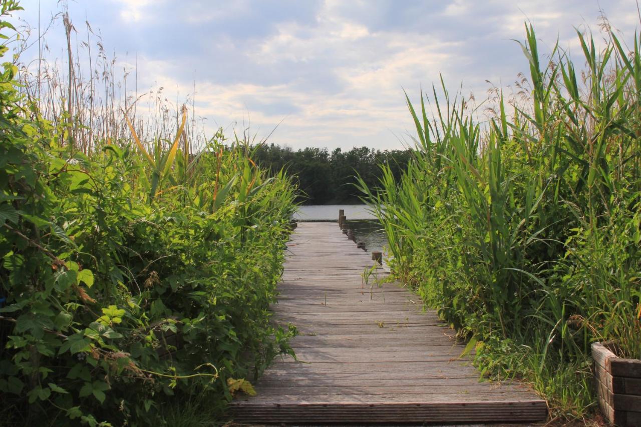 Moderne Und Helle Ferienwohnung Am Ploener See Bosau 外观 照片